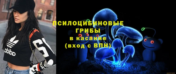 кокаин Богданович