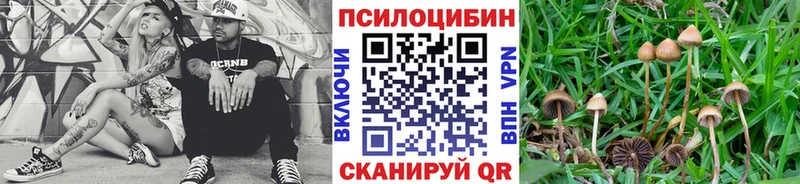 Галлюциногенные грибы мухоморы Володарск